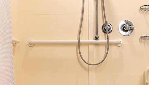 Walk-in shower grab bar and handheld showerhead